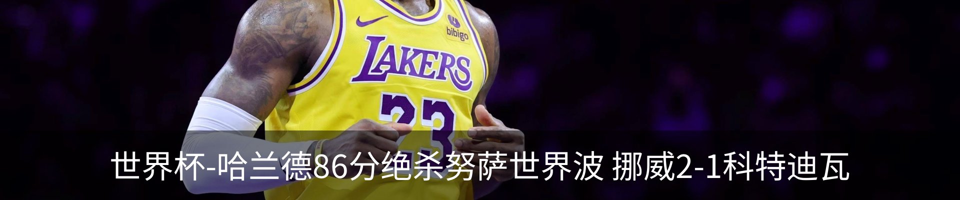 内页banner