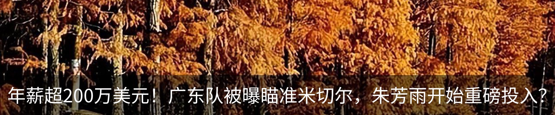 内页banner